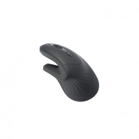 Souris Ergonomique Droitier WE